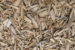 biomass boilers Crindledyke